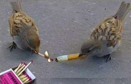 When you need to unwind after a long day of spying on shitlords