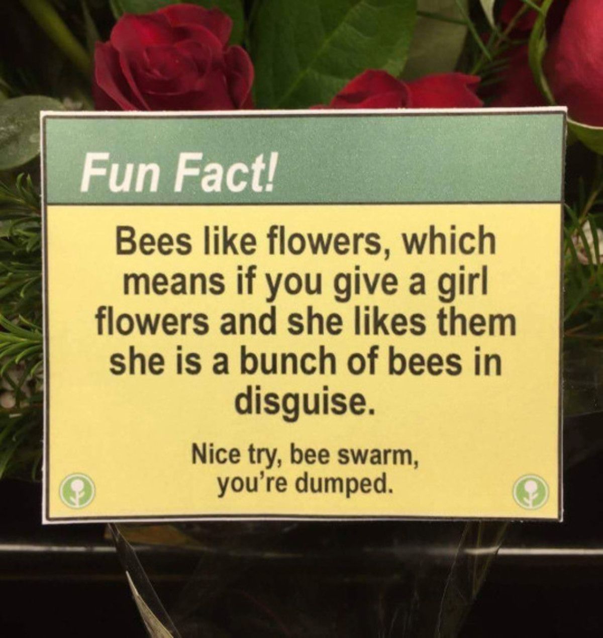 Not the bees