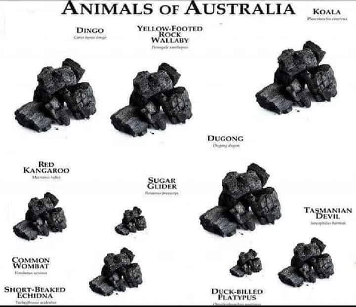 'Straya