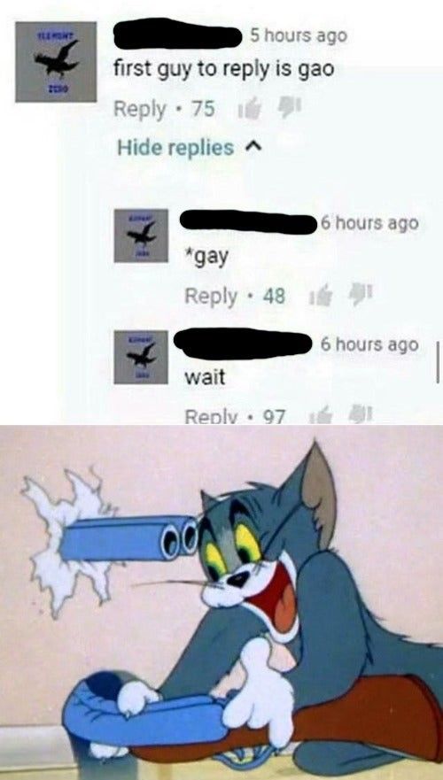homo
