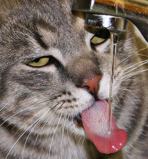 Me IRL thirsting for likes