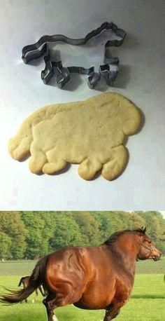Don’t insult my cookie, it think it looks like a real horse.