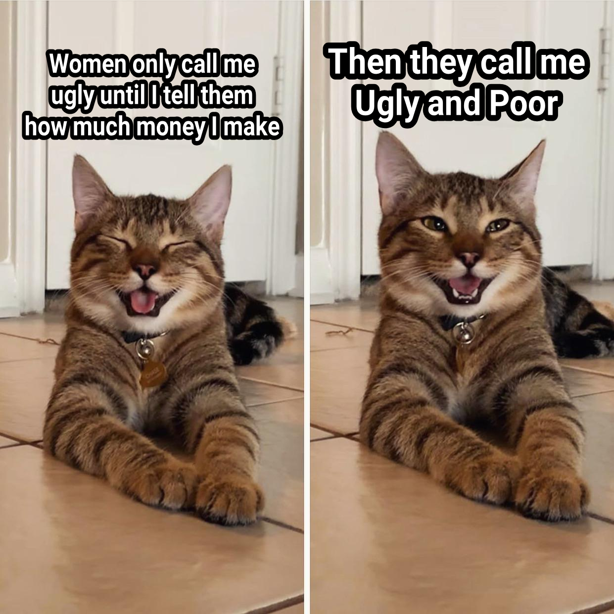 Who's laughing meow?