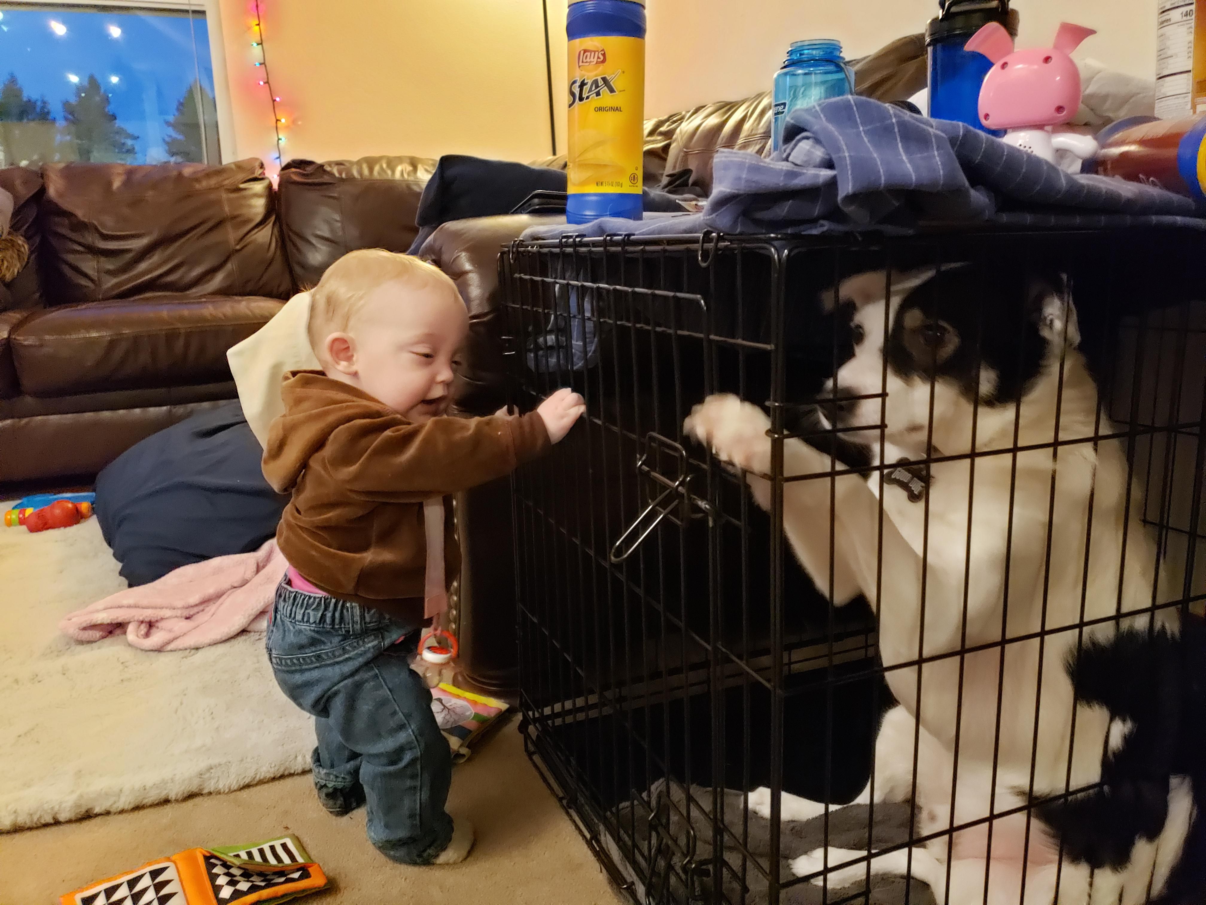 Caught the suspect trying to break the prisoner out of his cell...