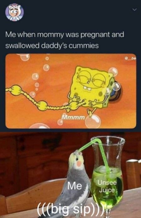 s i p p