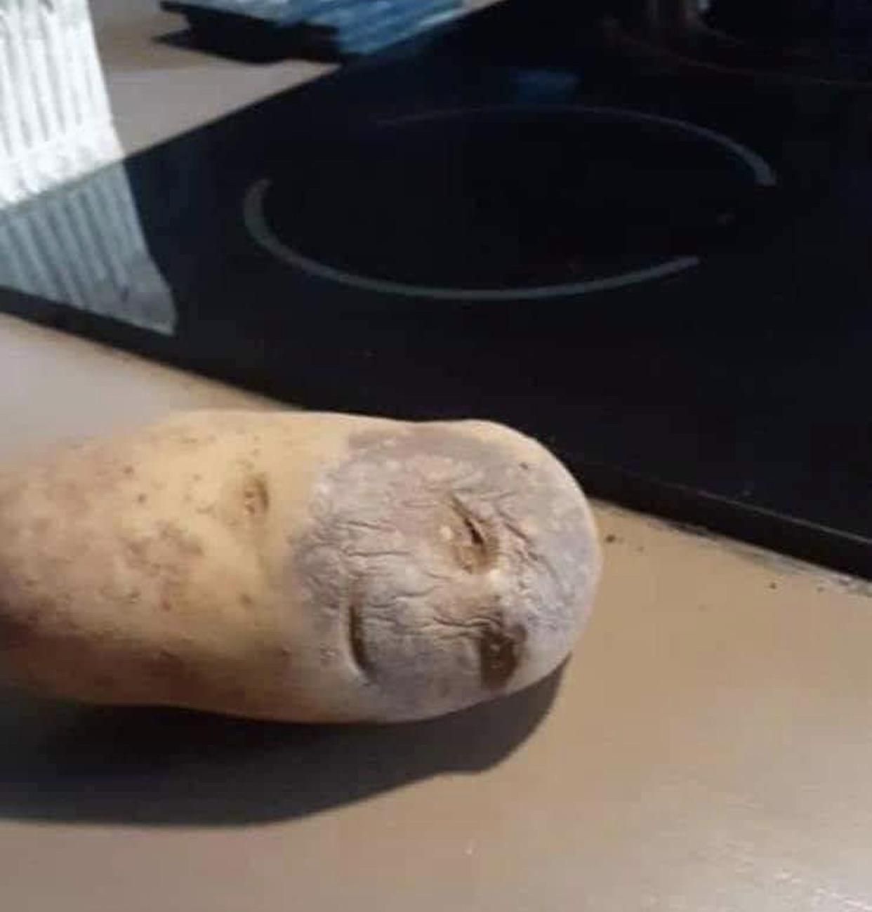 I don’t know if I should cook this potato, or take it to the hospital?