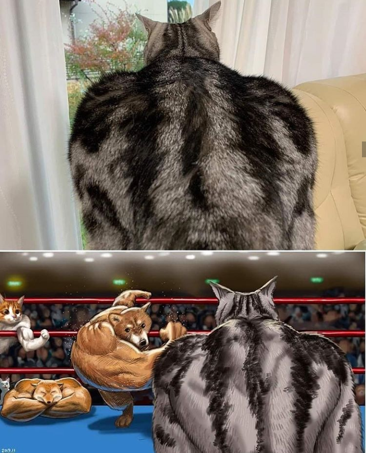 00f