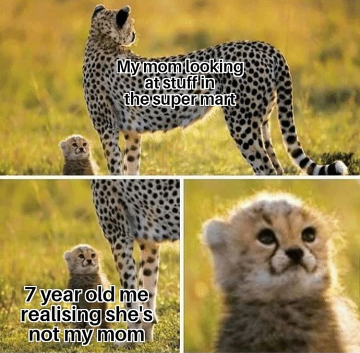 Dawww