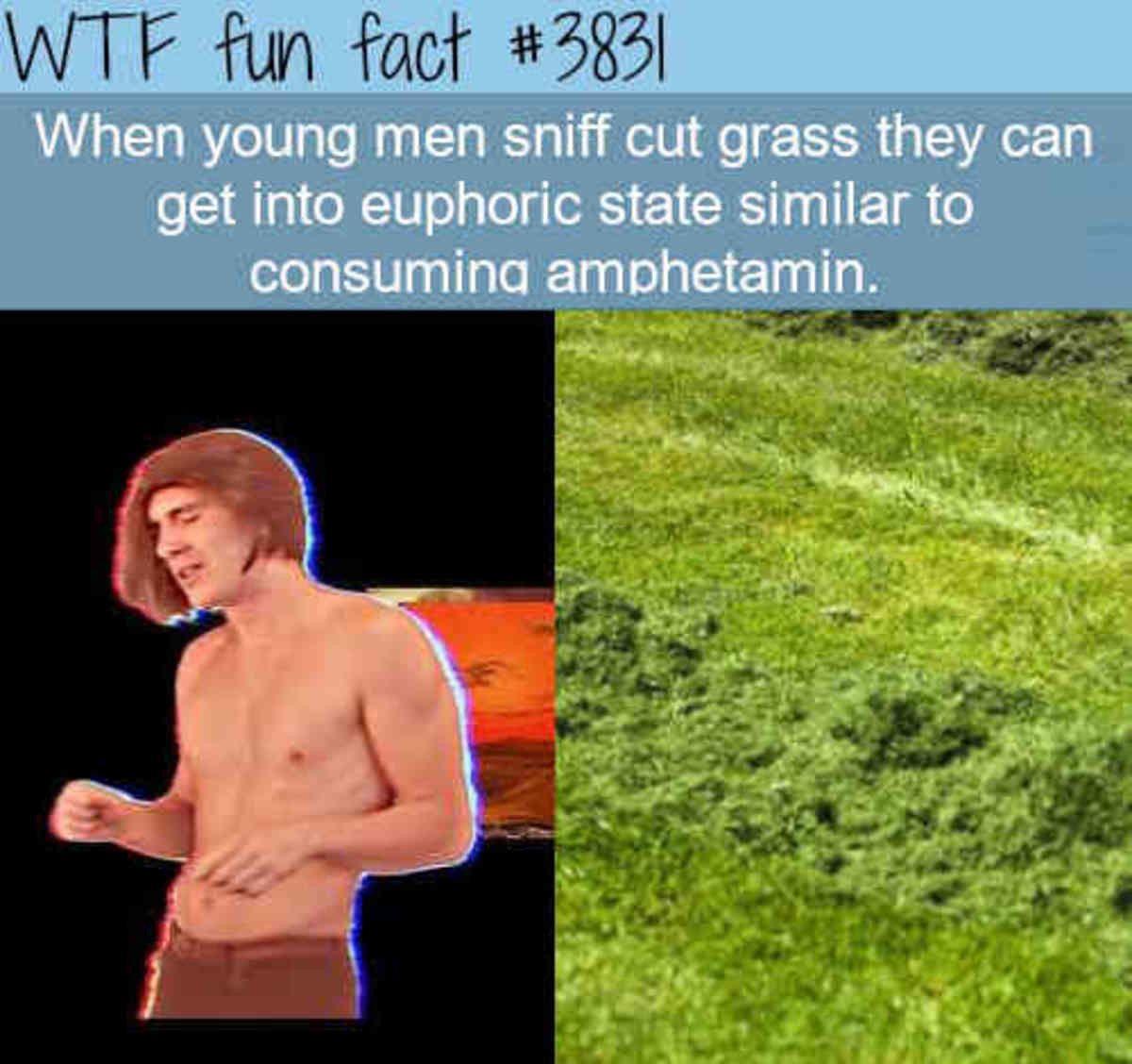 Why do drugs when you could just mow a lawn?