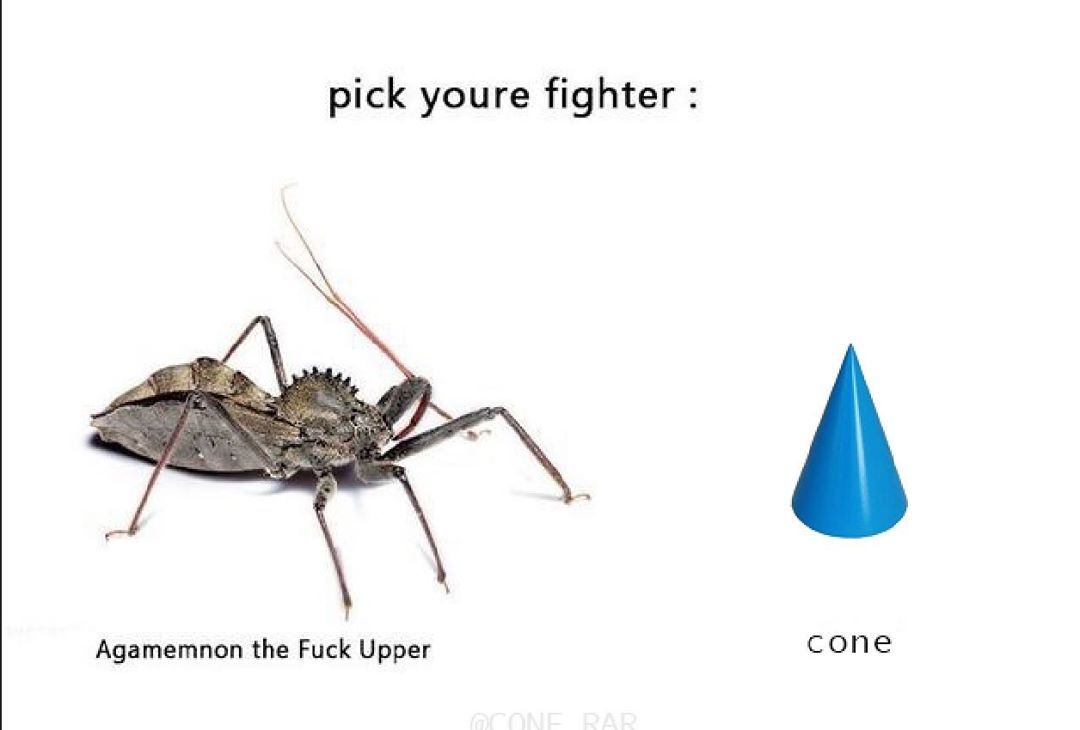 let them fight