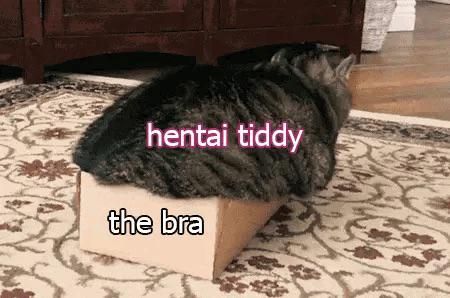 “Stay contained,” said no hentai tiddy ever.