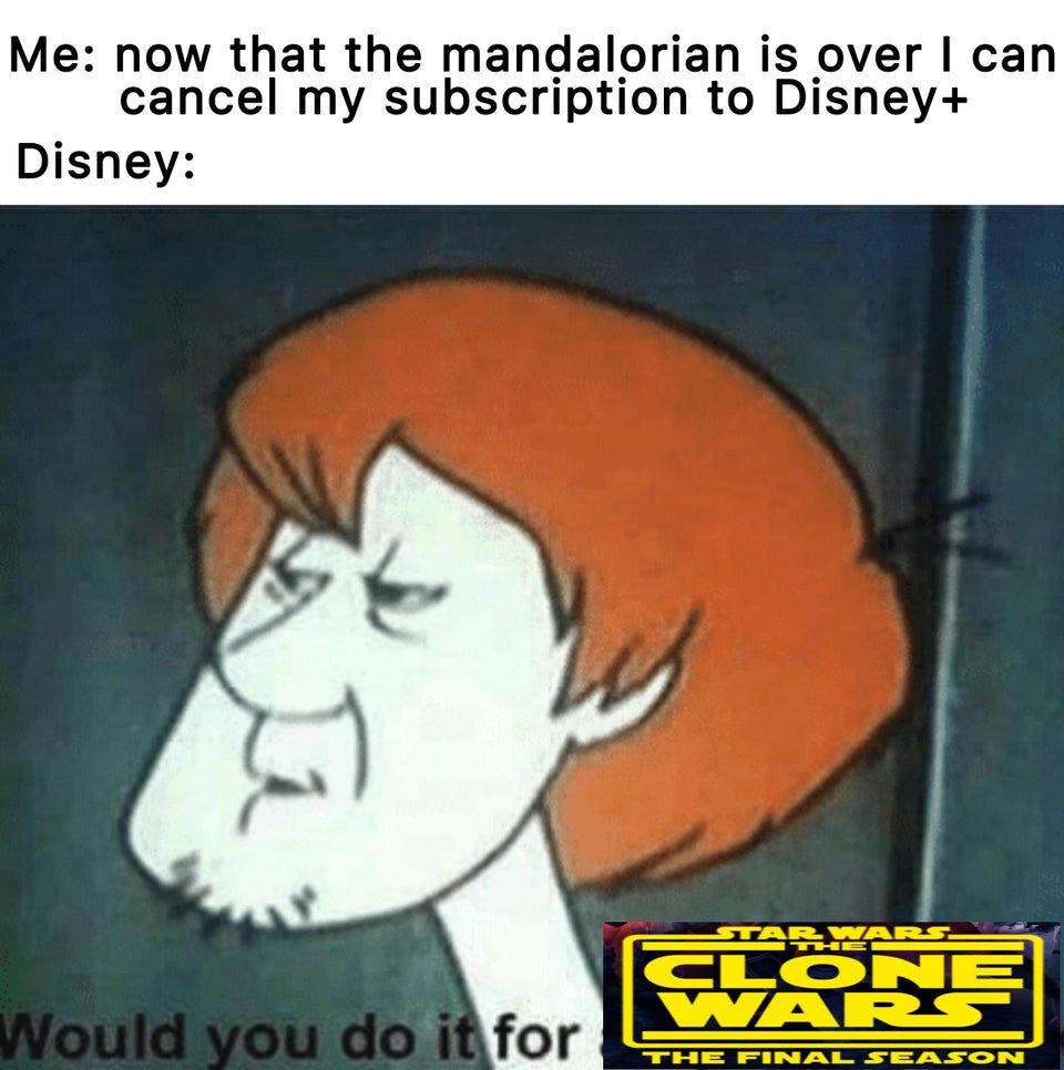 Should have seen it coming