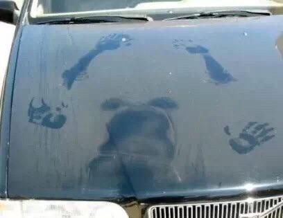 Weird thing to draw on a dirty car.