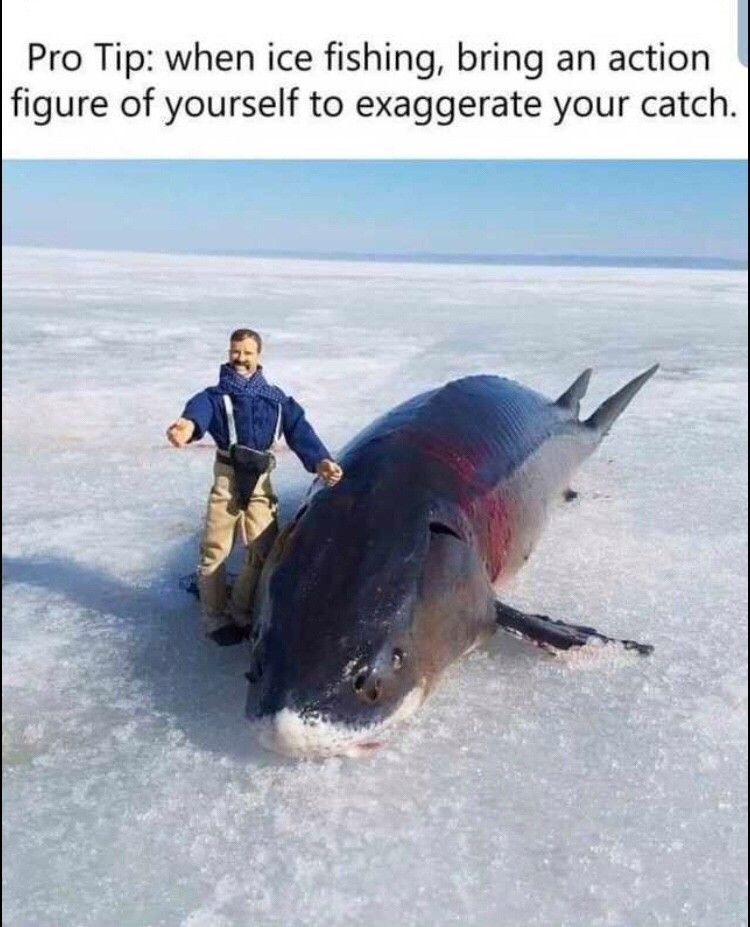 Megalodon time