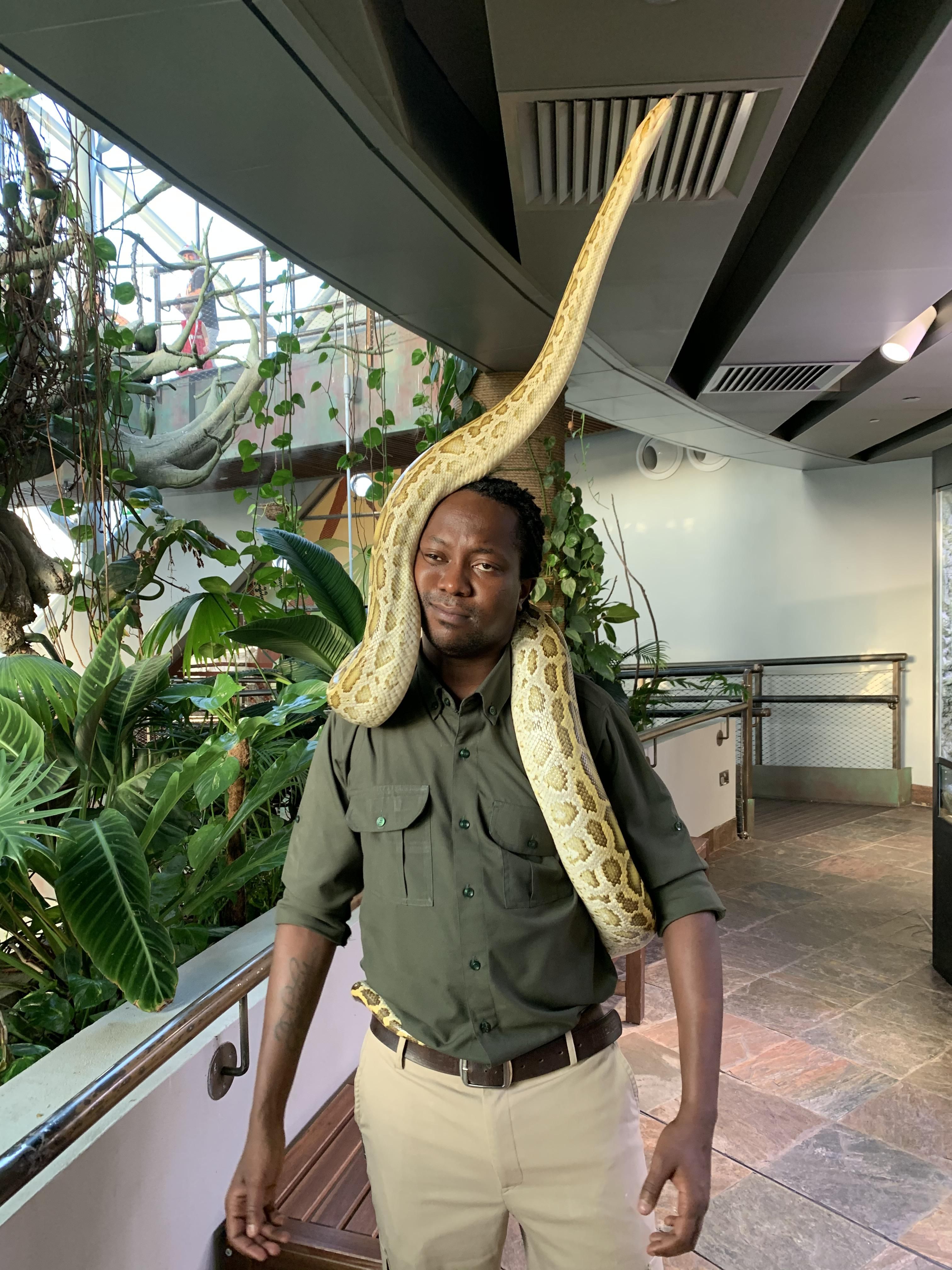 This is the snake handler at The Green Planet in Dubai. He says he loves his job.