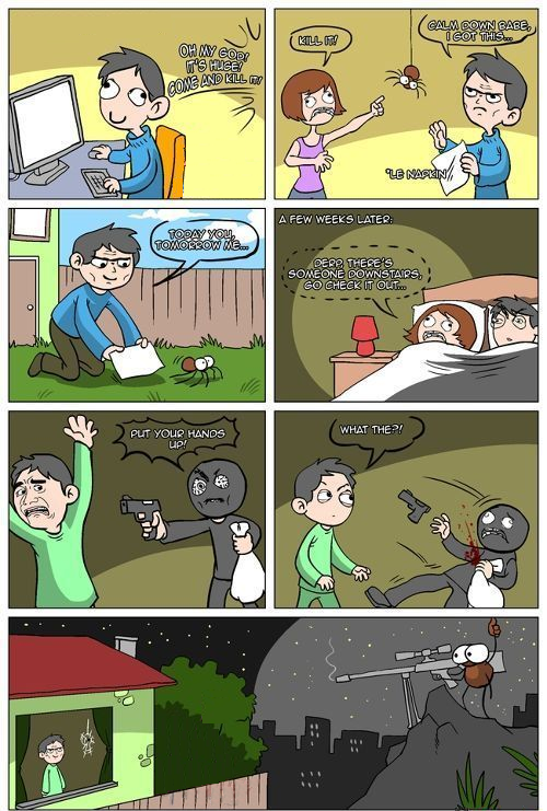 Don't kill spiders. They are badass