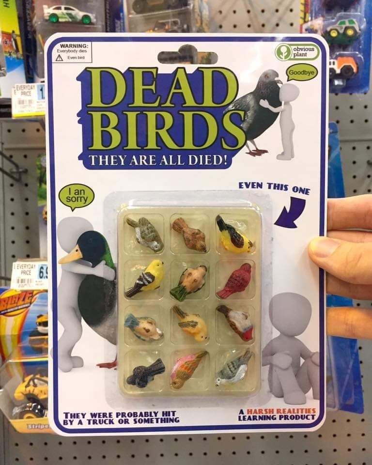 Warning: Birds were hurt in the making of this toy.