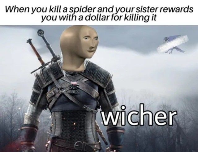 Toss a coin to your whicher