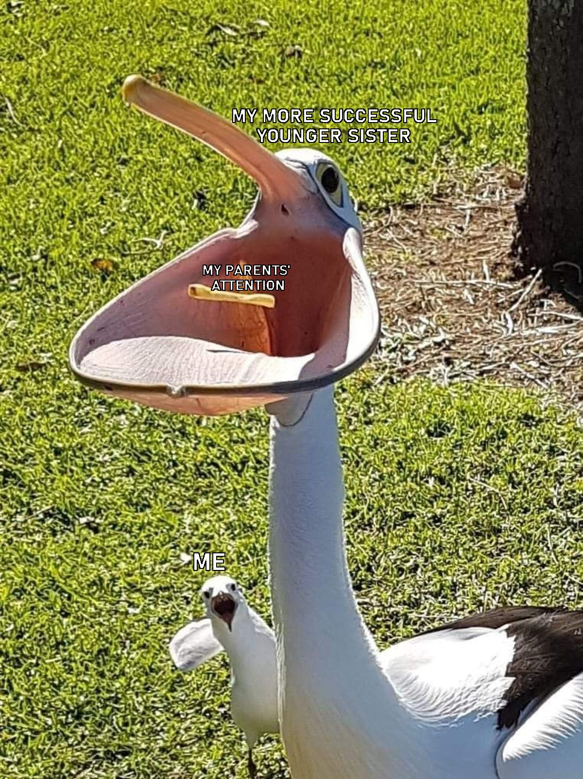 ...