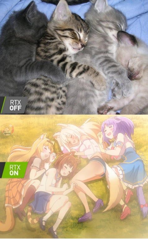 all are cute