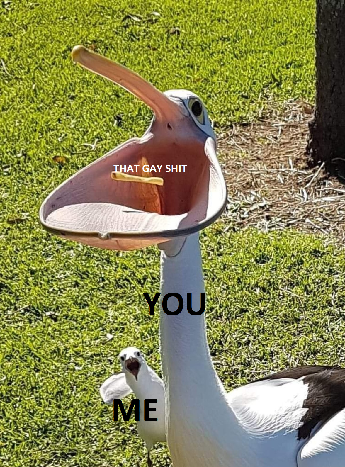 #memefordotdotdot i hope he picks me