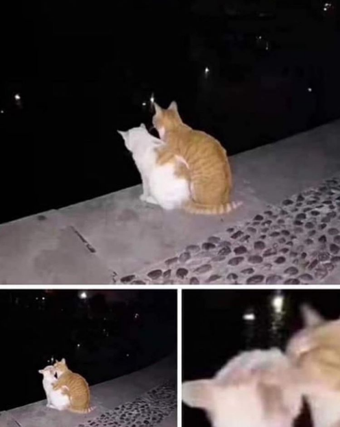 This could be us, but you don't exist smh