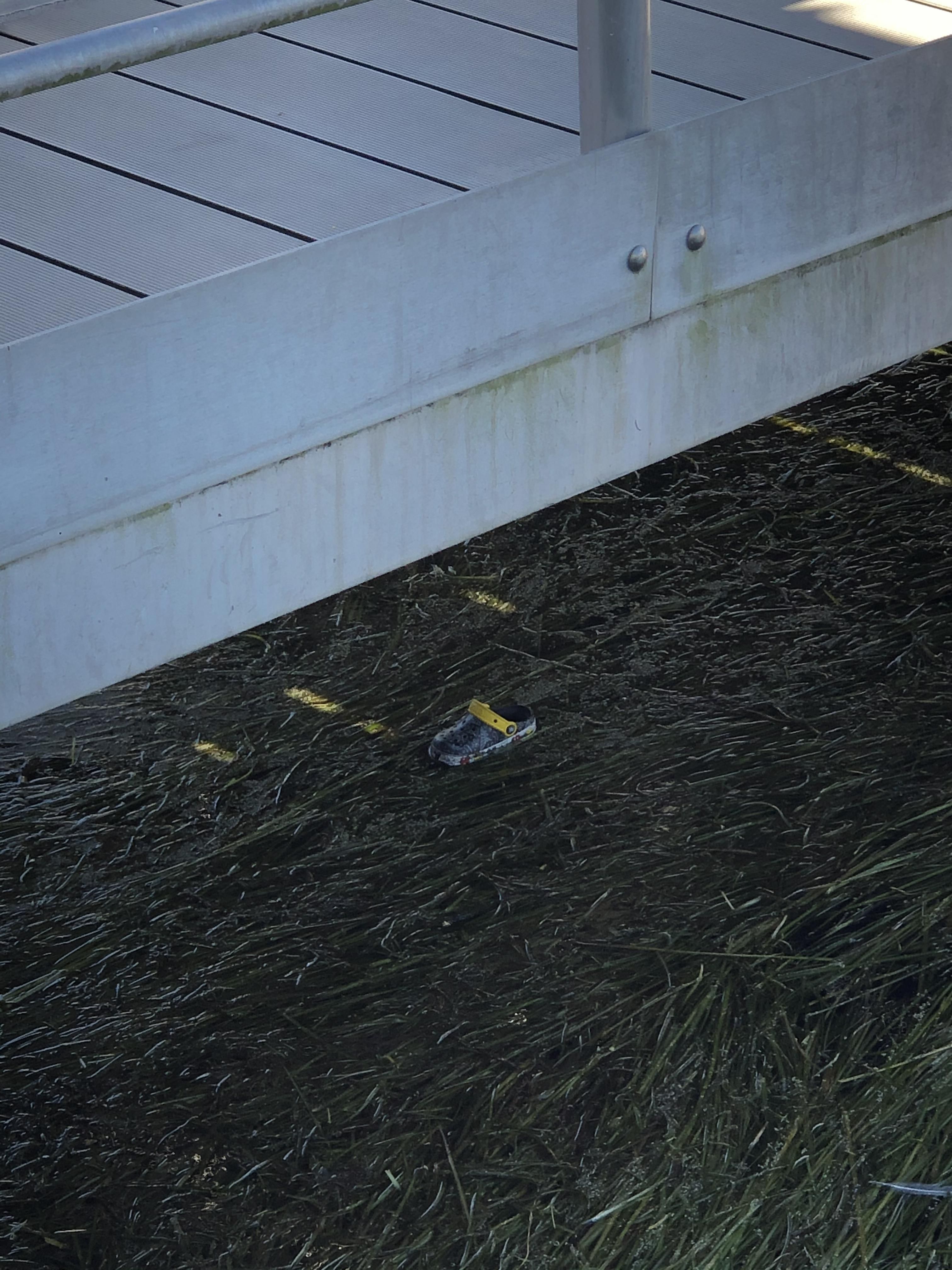Be careful folks, found a croc lurking under a bridge on the boardwalk at Disney World.