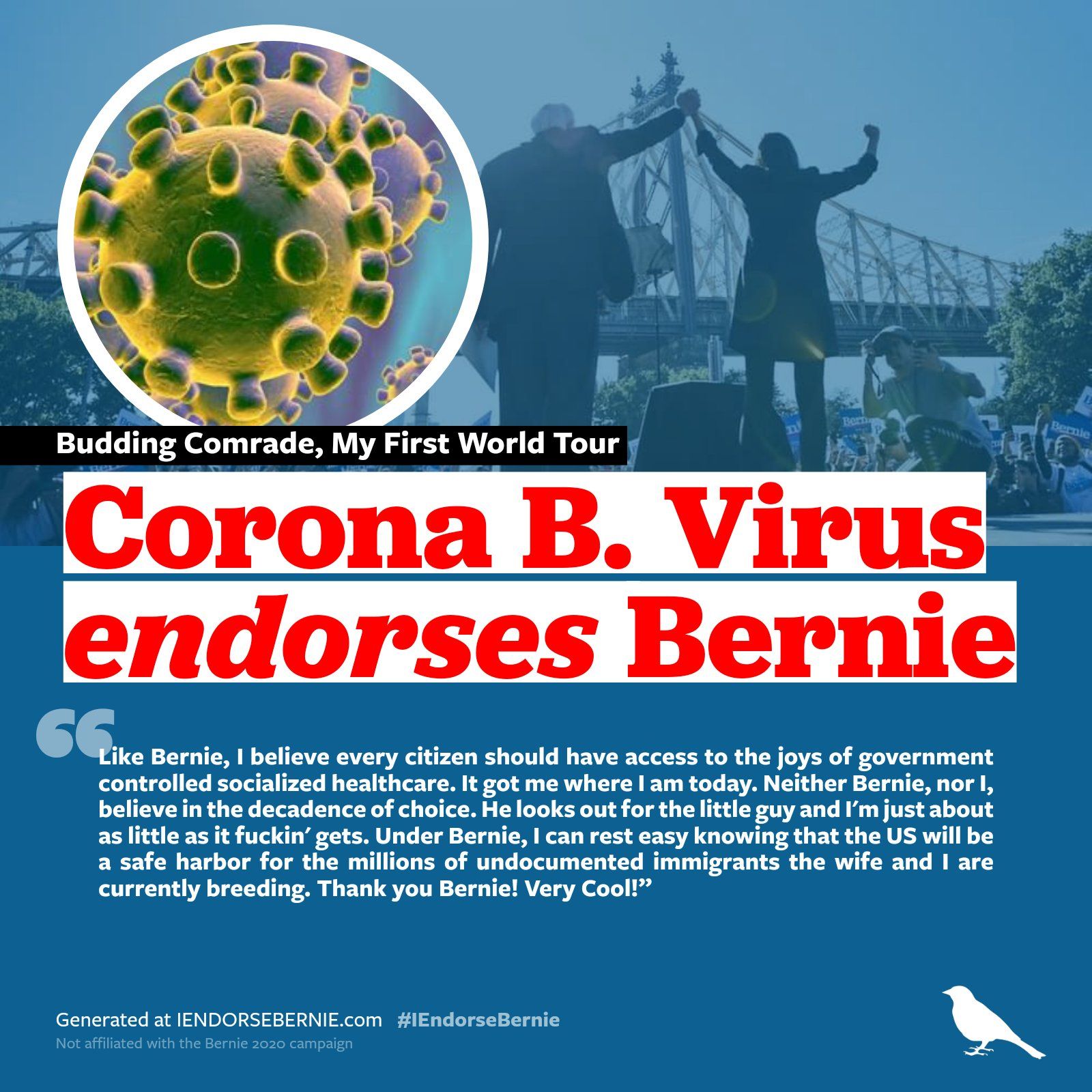 Bernierbro
