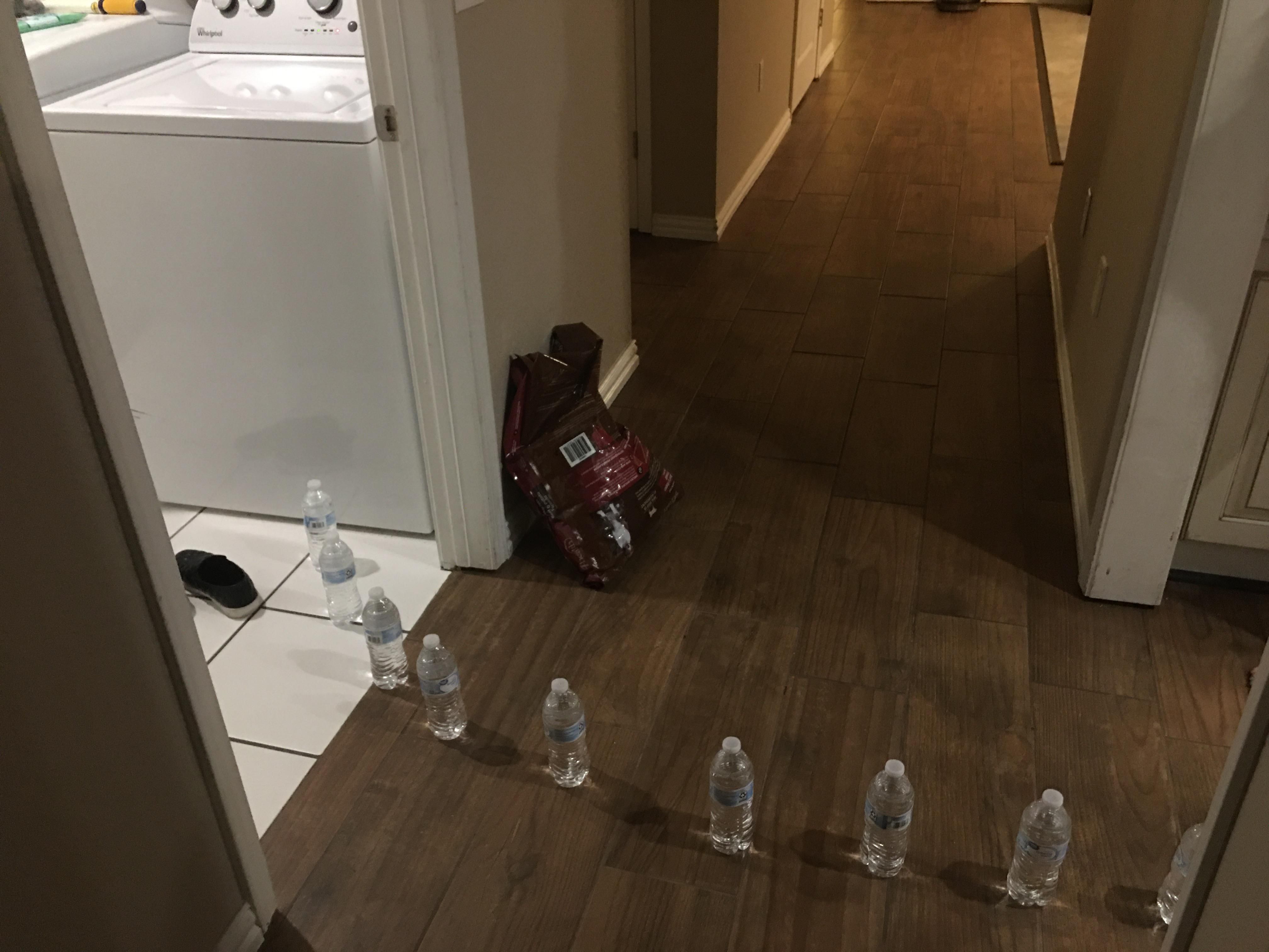 My kids came in and told me there was water coming from the laundry room. They said it looked like it started at the washer. I rushed in to find this. Buncha comedians in my house...