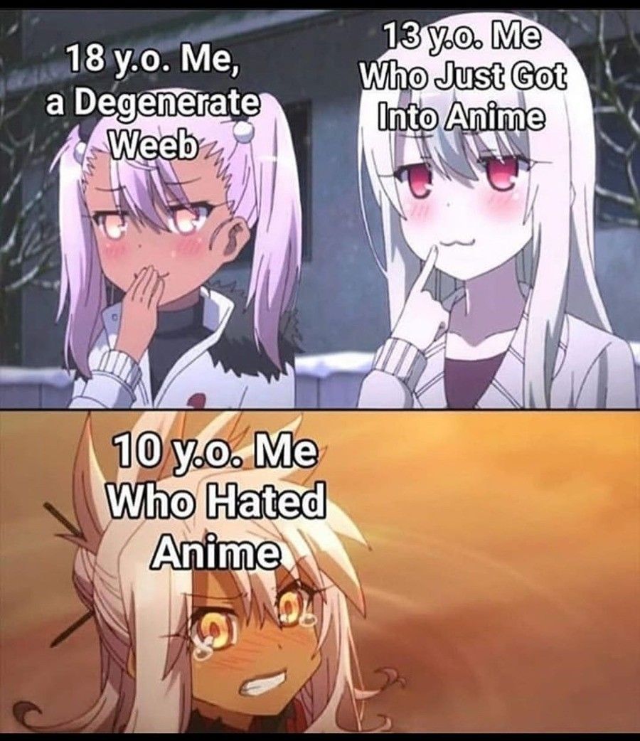 20 year old me who hates anime again