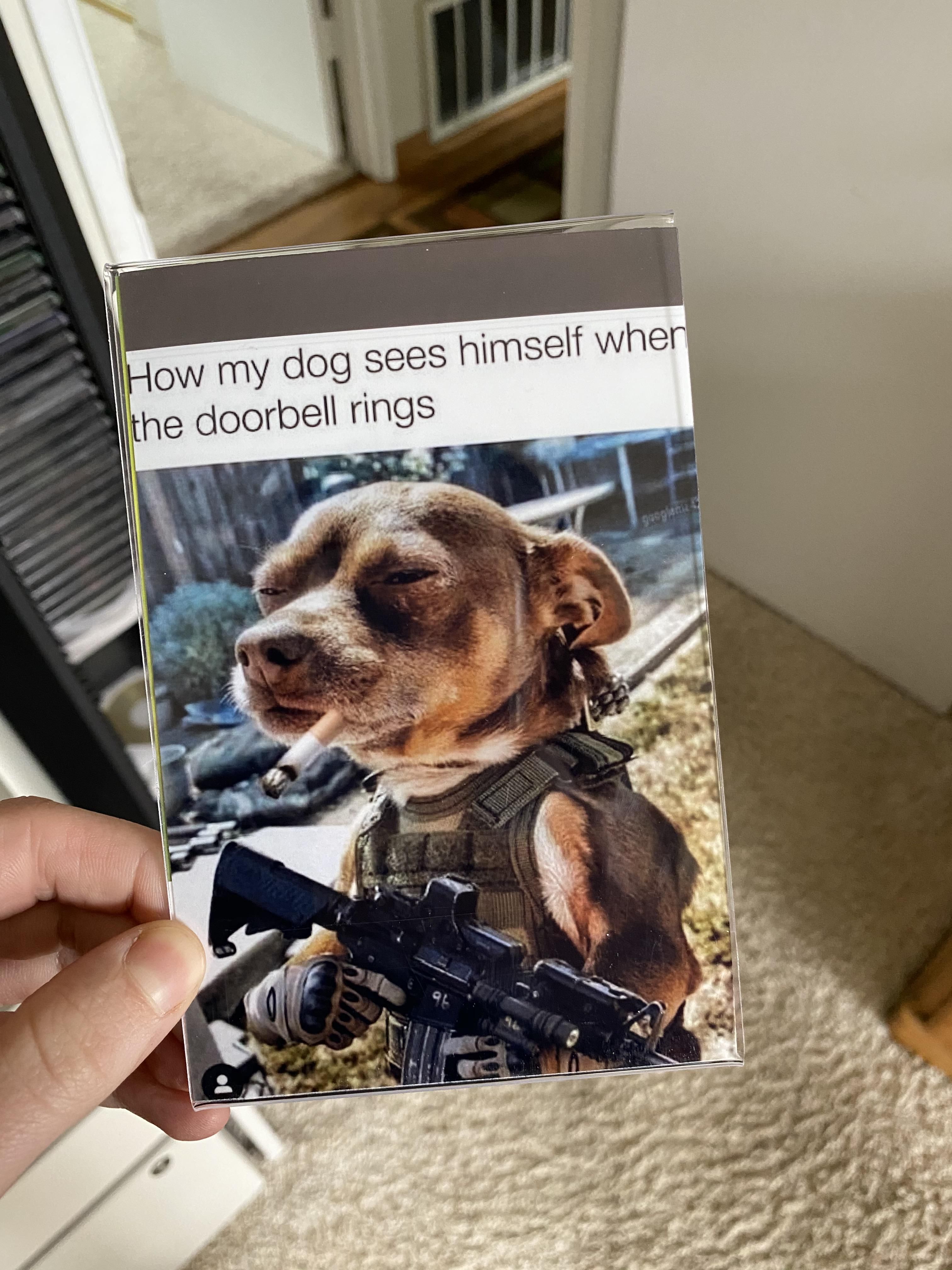 My grandpa’s friend sent him this picture and my grandpa decided to print AND frame it, thinking that it was his friends dog