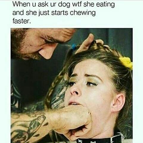 bad dog