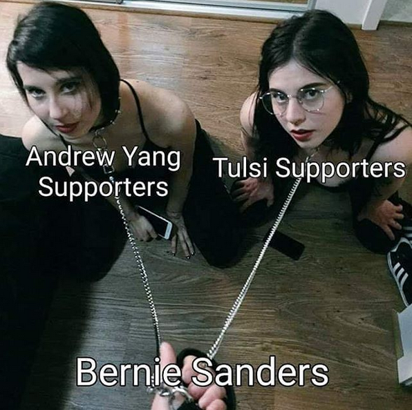 Vote for the jew you sluts.