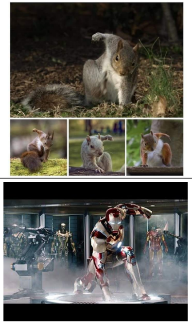 Realizing that squirrels usually land like Iron Man.