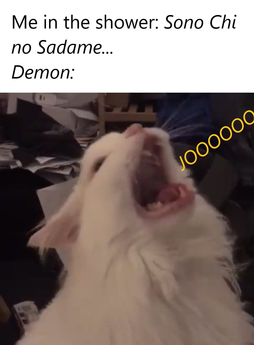 --JO--