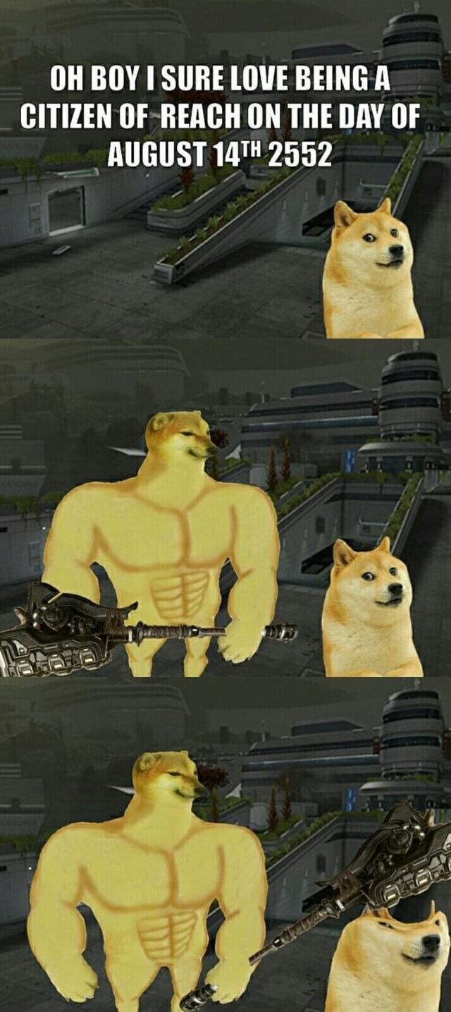 Bonk