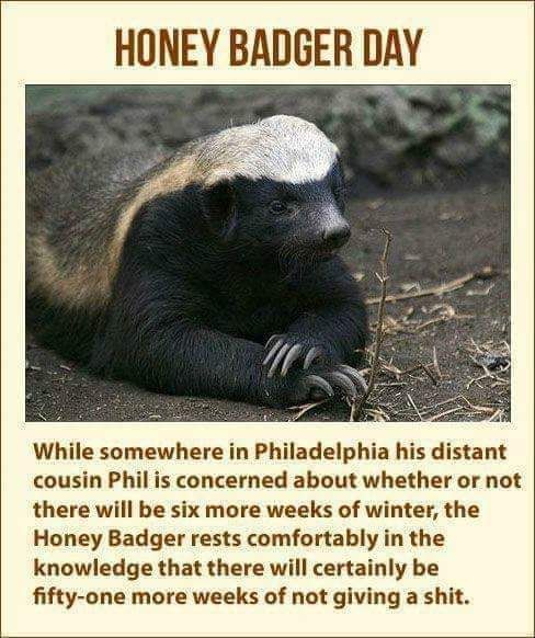 Happy honey badger day.