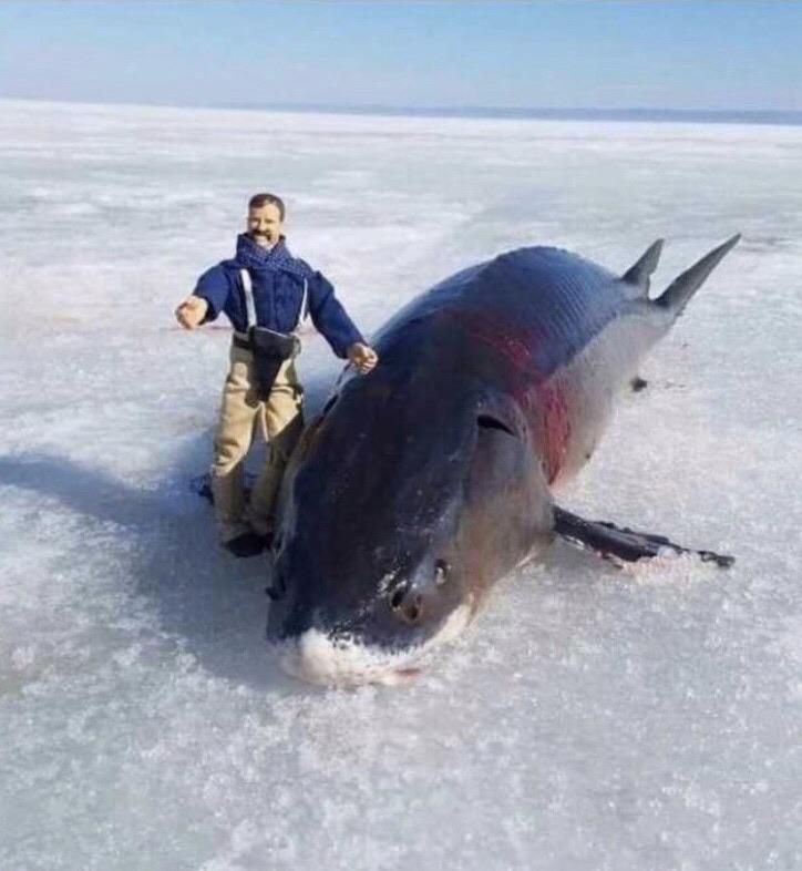 Pro tip: when going ice fishing, take an action figure of yourself so you can exaggerate the catch.