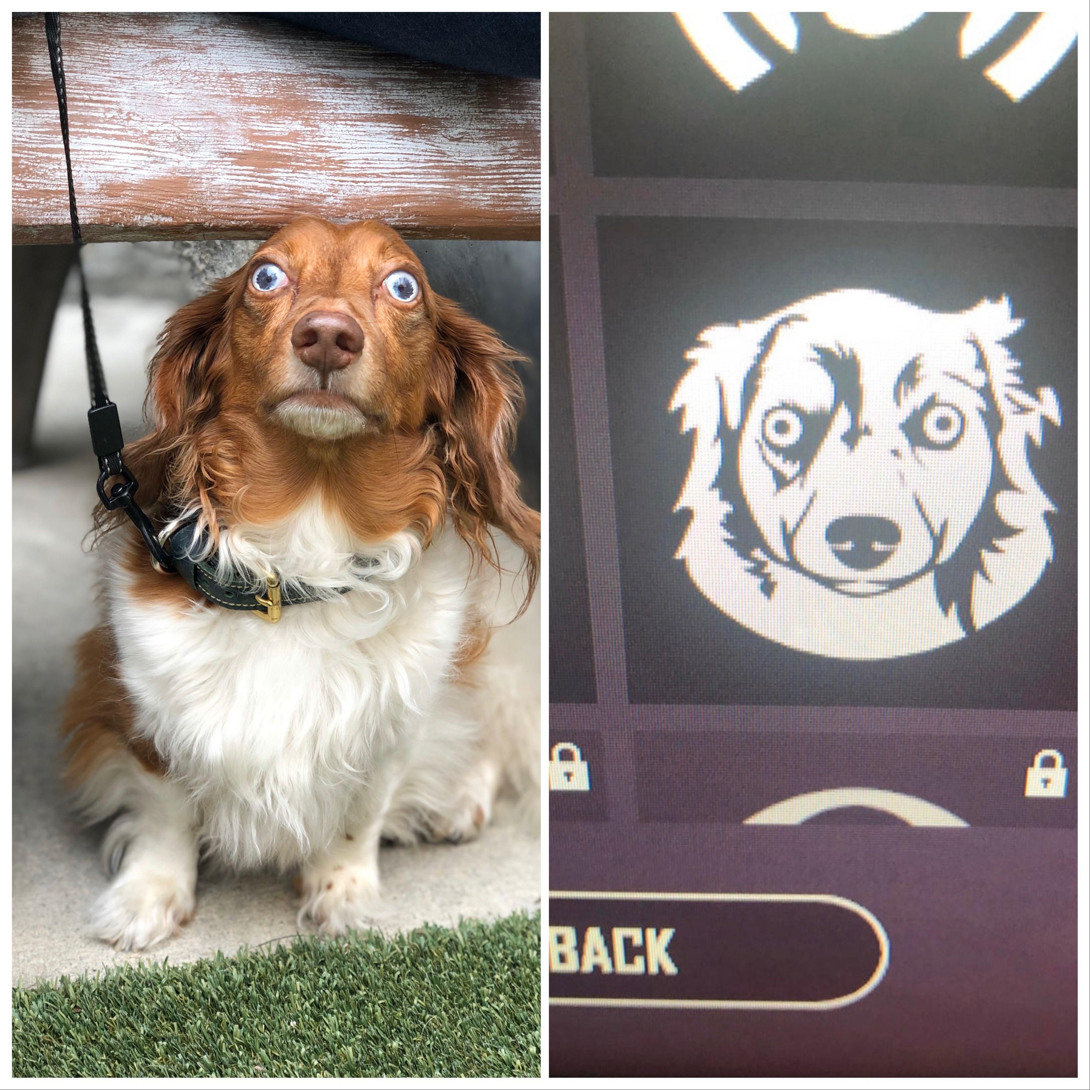 PUBG is using my dogs likeness in their video games