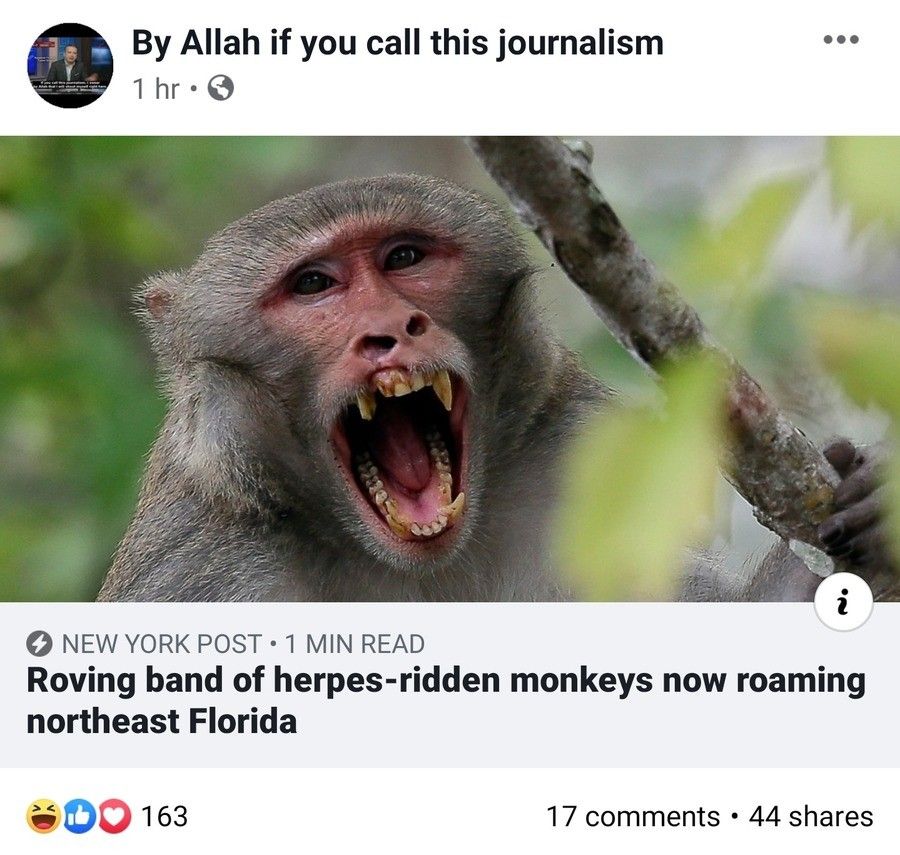 Florida Man isn't always human
