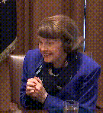 Stereotypes in real life. Dianne (((Feinstein)))