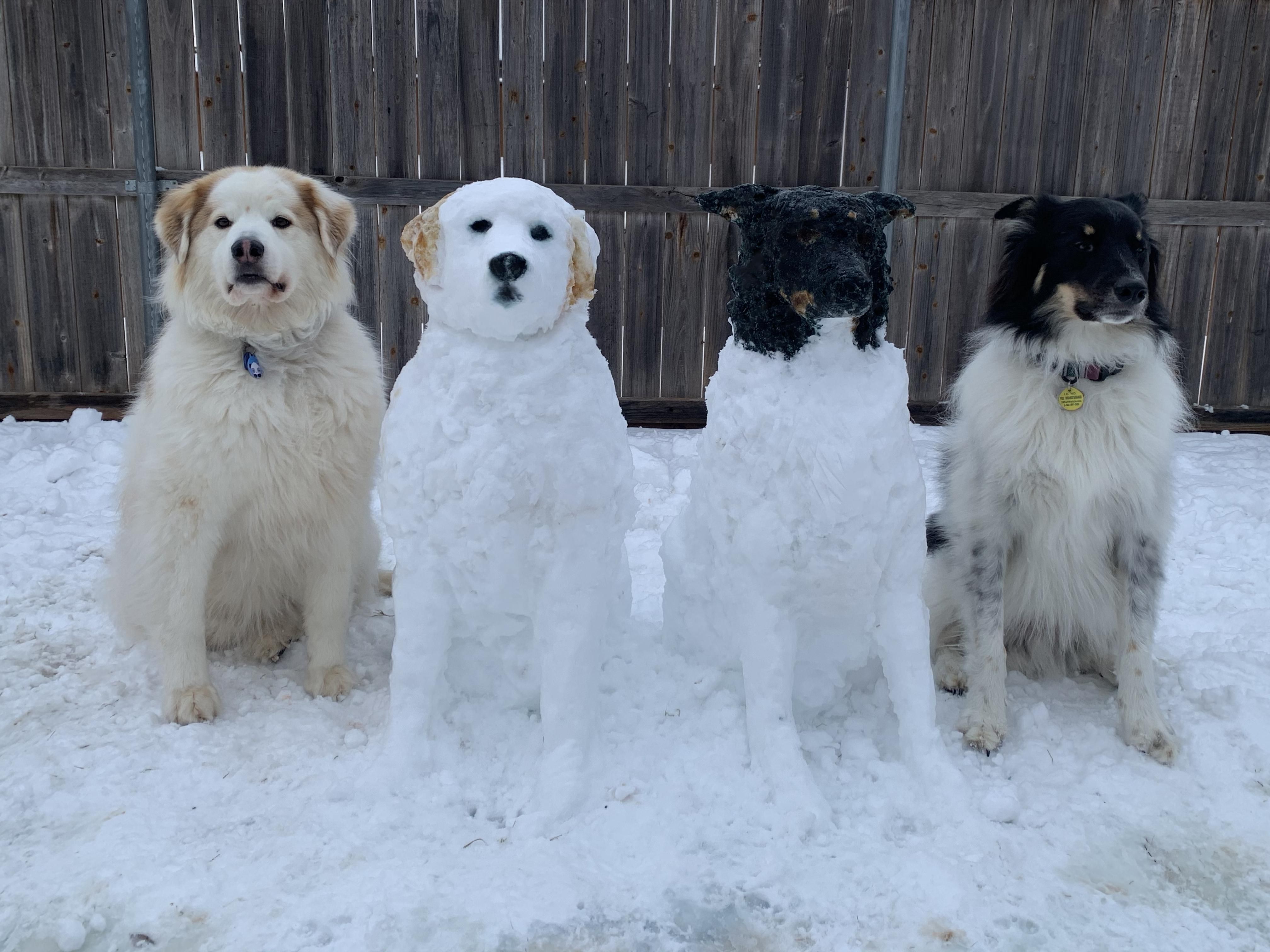 Look again. There are only two dogs in this photo.