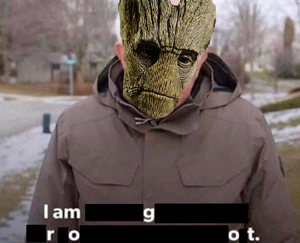 has anyone done this?