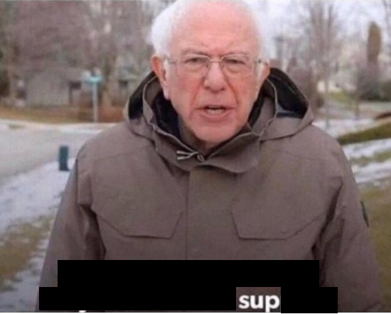 homie bernie