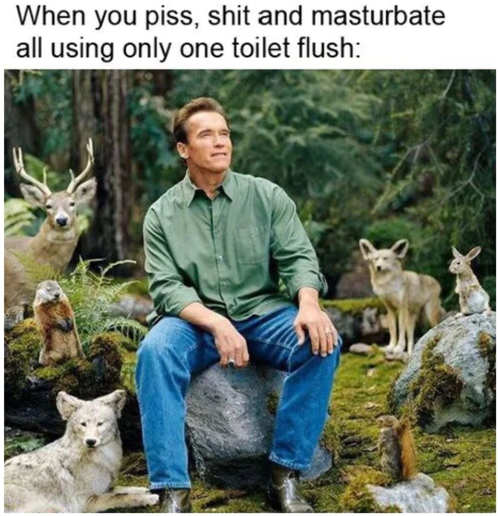 Meaning of Life