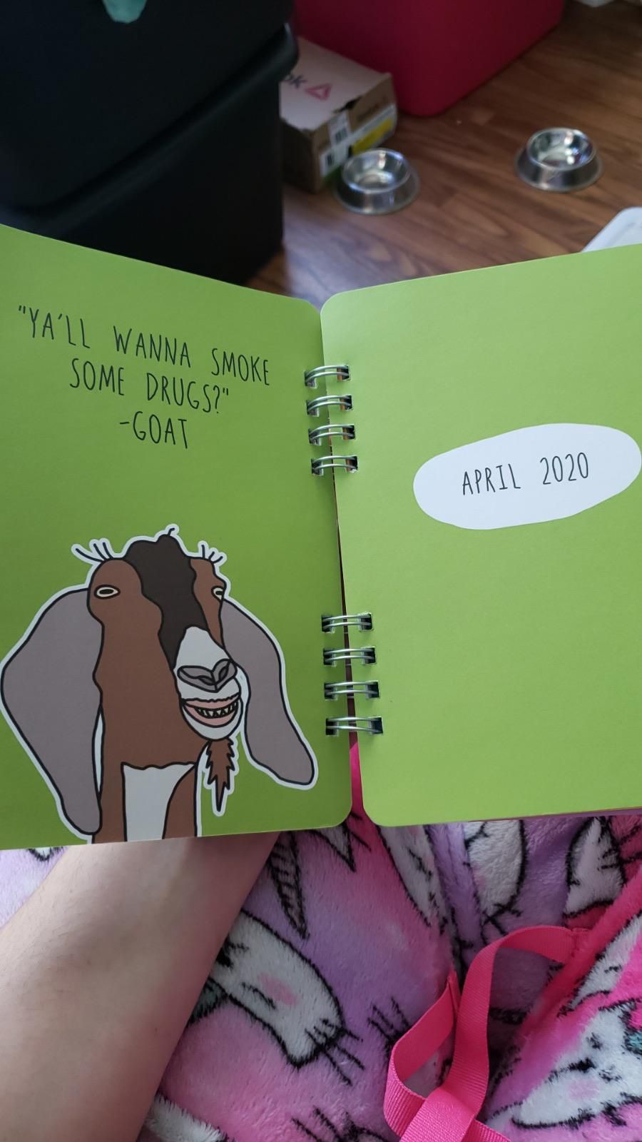 My wife bought our 10 year old daughter a new planner for school. She should have browsed through it before letting her take it to school.