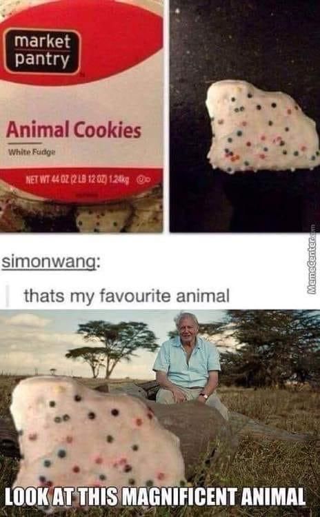 That’s MY favorite animal!