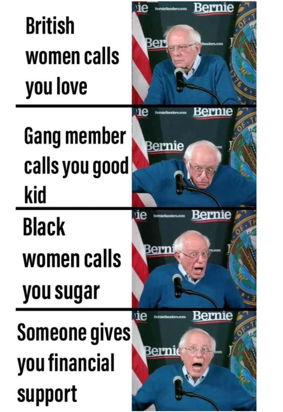 The Bern