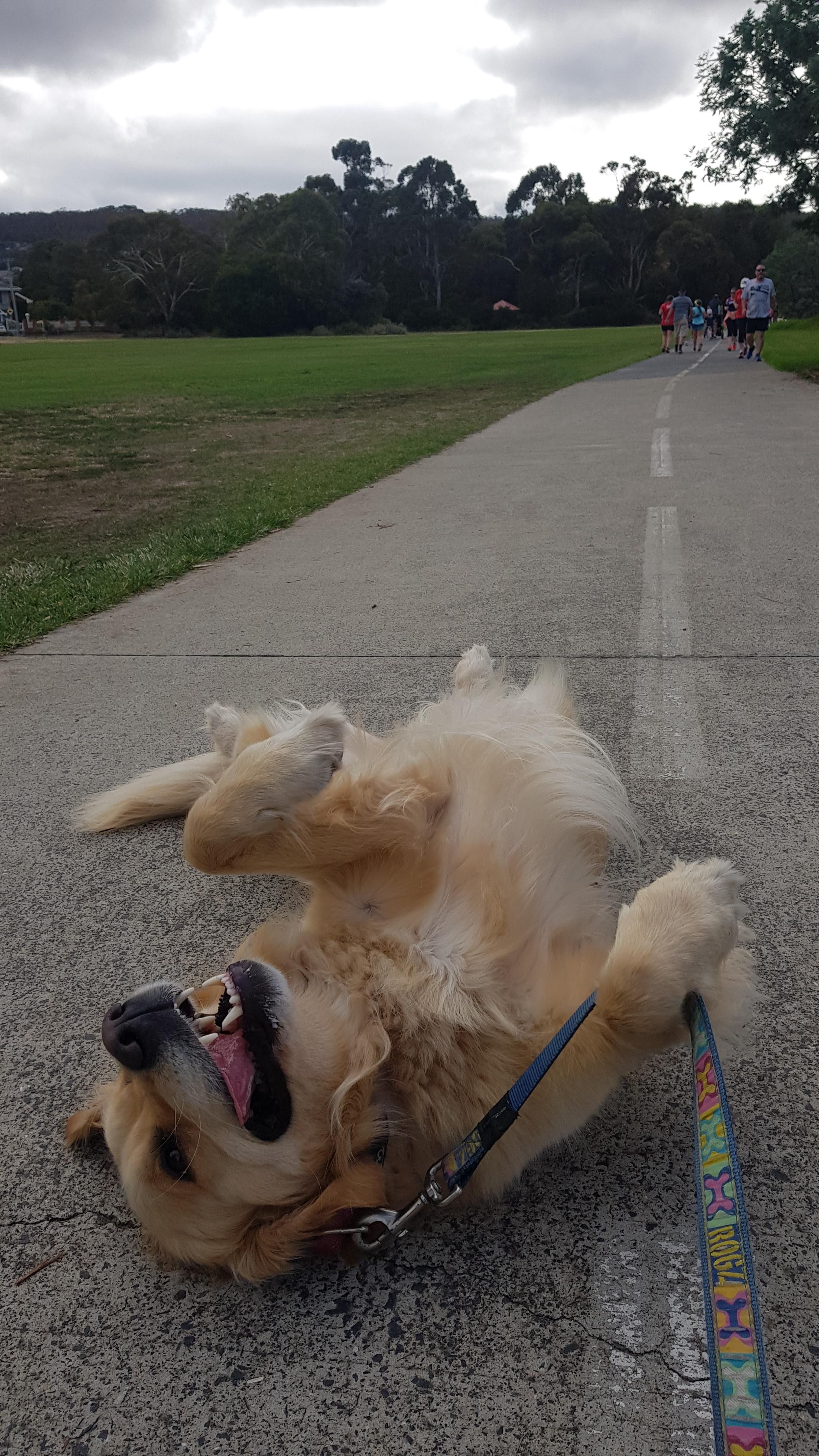 Her first fun run was not a success.