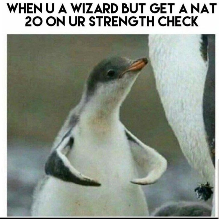 Get wrecked, stick